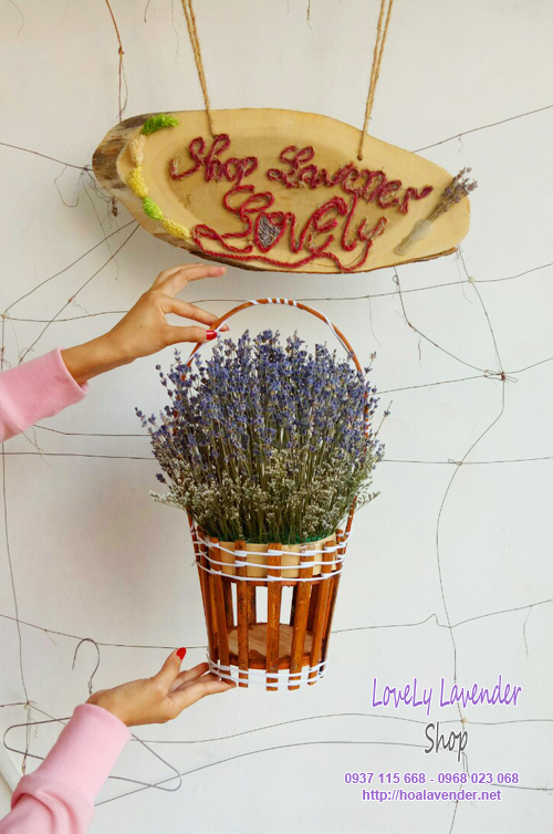 Bó hoa lavender khô Pháp làm quà tặng ngày Valentine 14/2 cho bạn gái