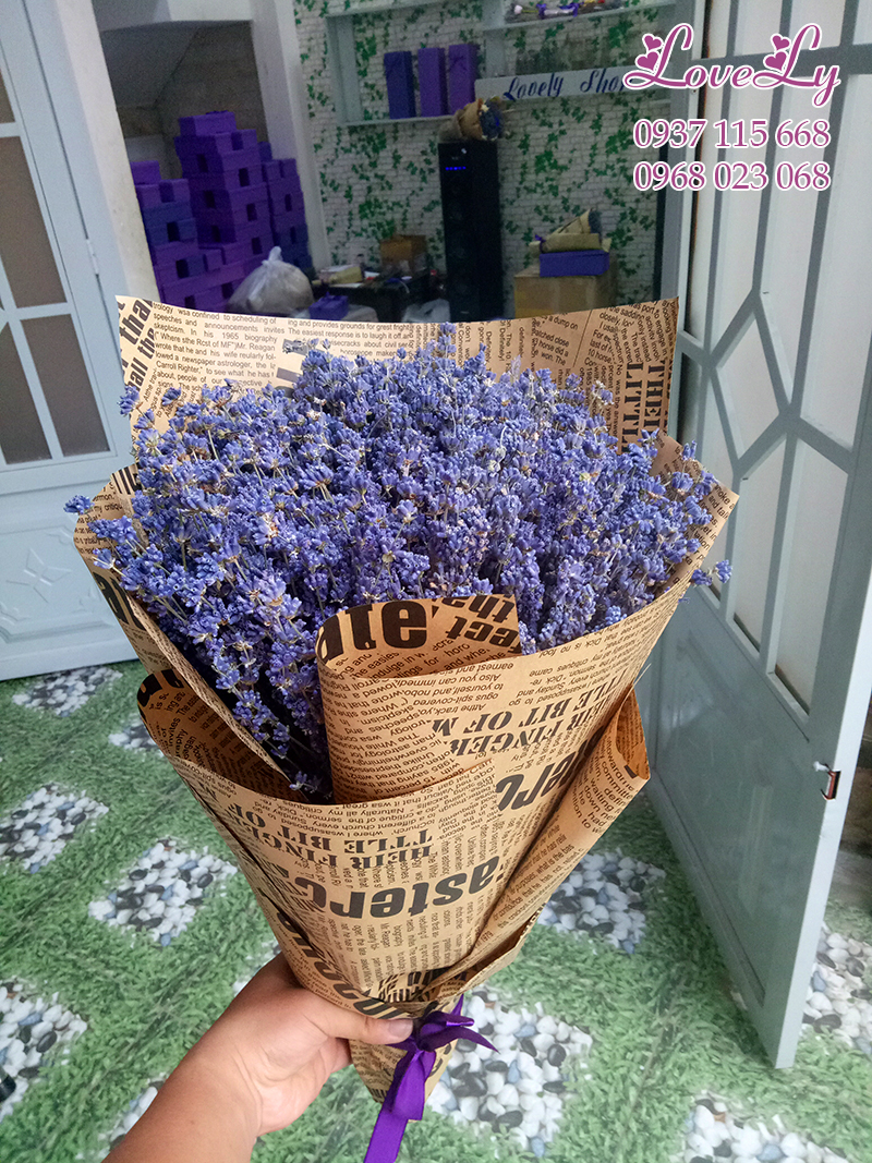 Bó hoa lavender khô Bigsize( B08)