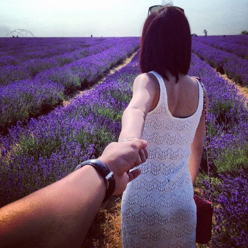 30 hình ảnh đẹp và ý nghĩa của hoa lavender (oải hương) với con người