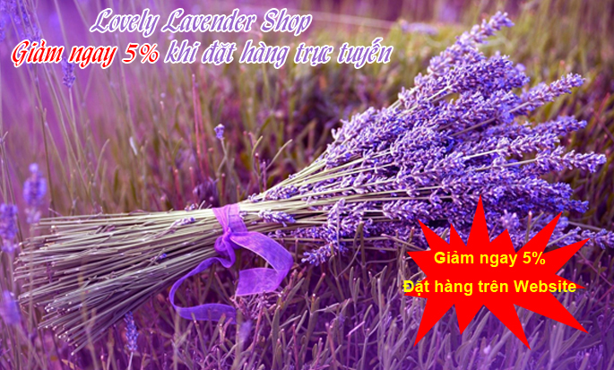 Shop Hoa Lavender Khô Lovely Online
