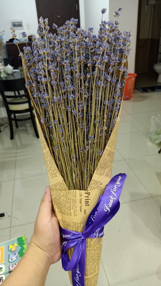 Bó Hoa Lavender Khô( B05)