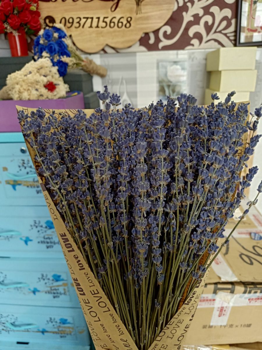 Bó Hoa Lavender Khô Nhập Pháp 500 cành