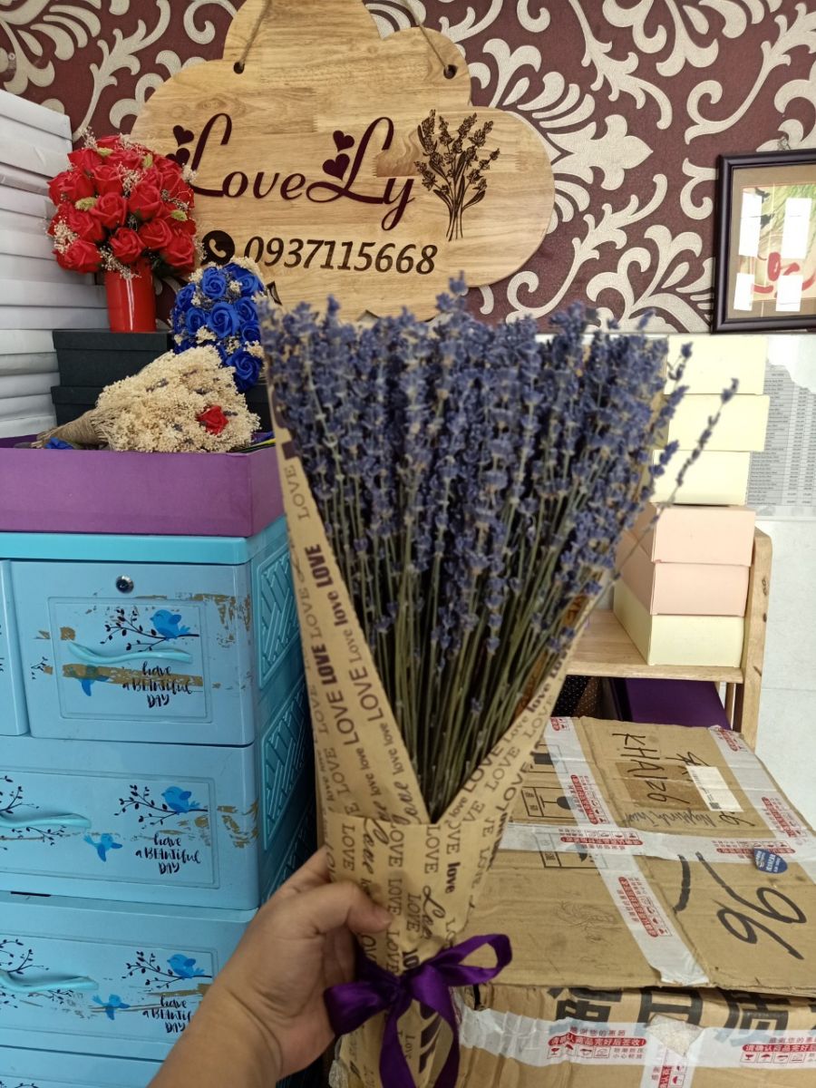 Bó Hoa Lavender Khô Nhập Pháp 500 cành đẹp