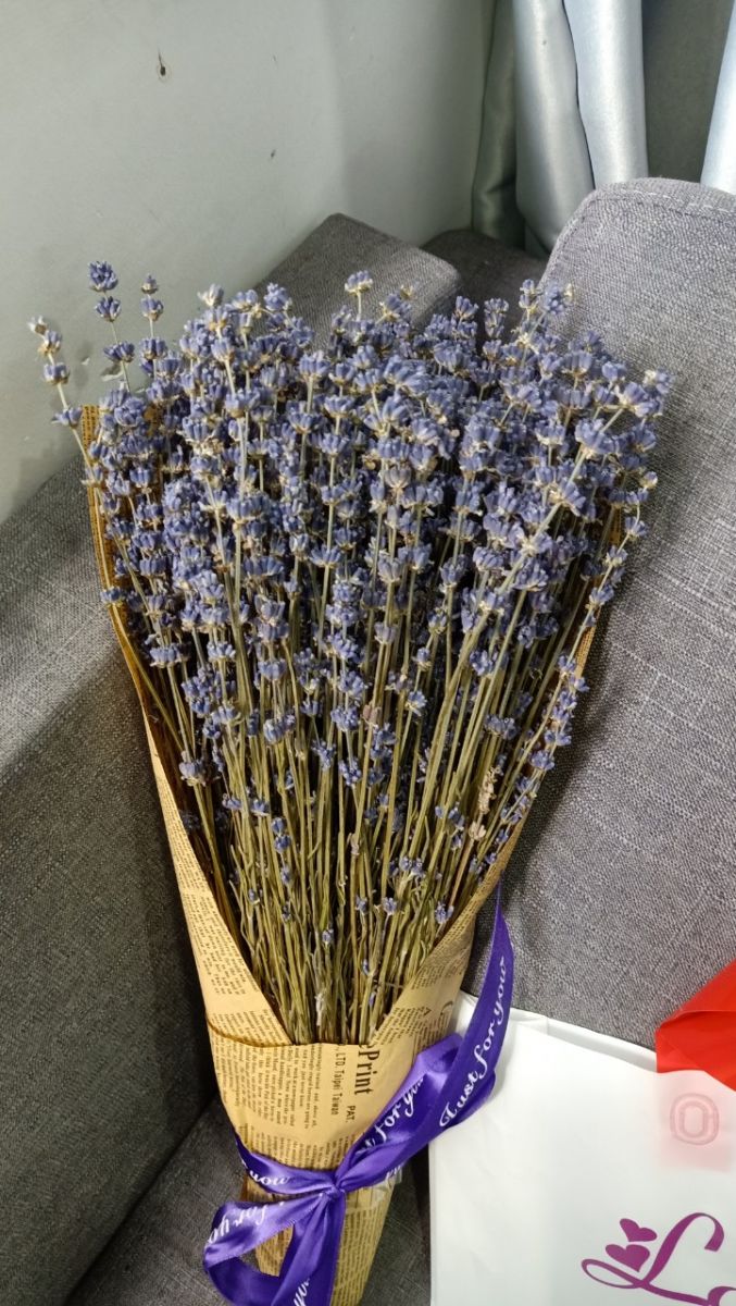 Bó Hoa Lavender Khô