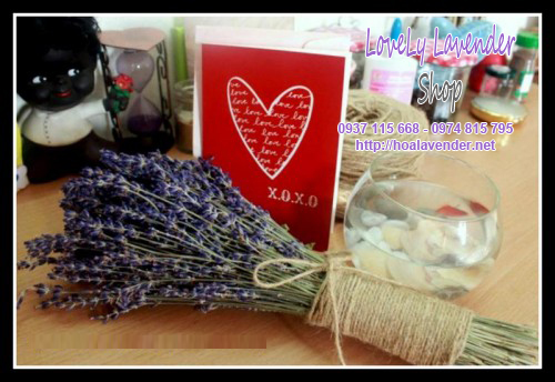 shop hoa lavender tại quận 2