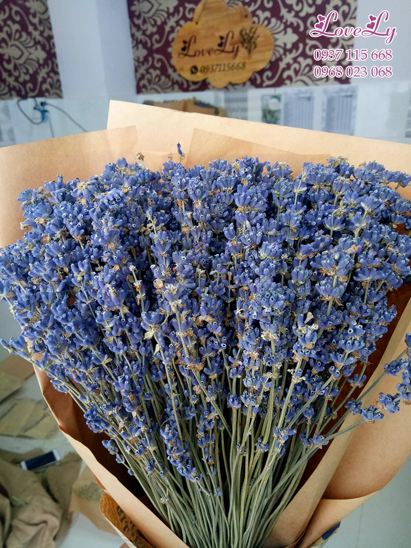 Bó Hoa Lavender Khô (B07)