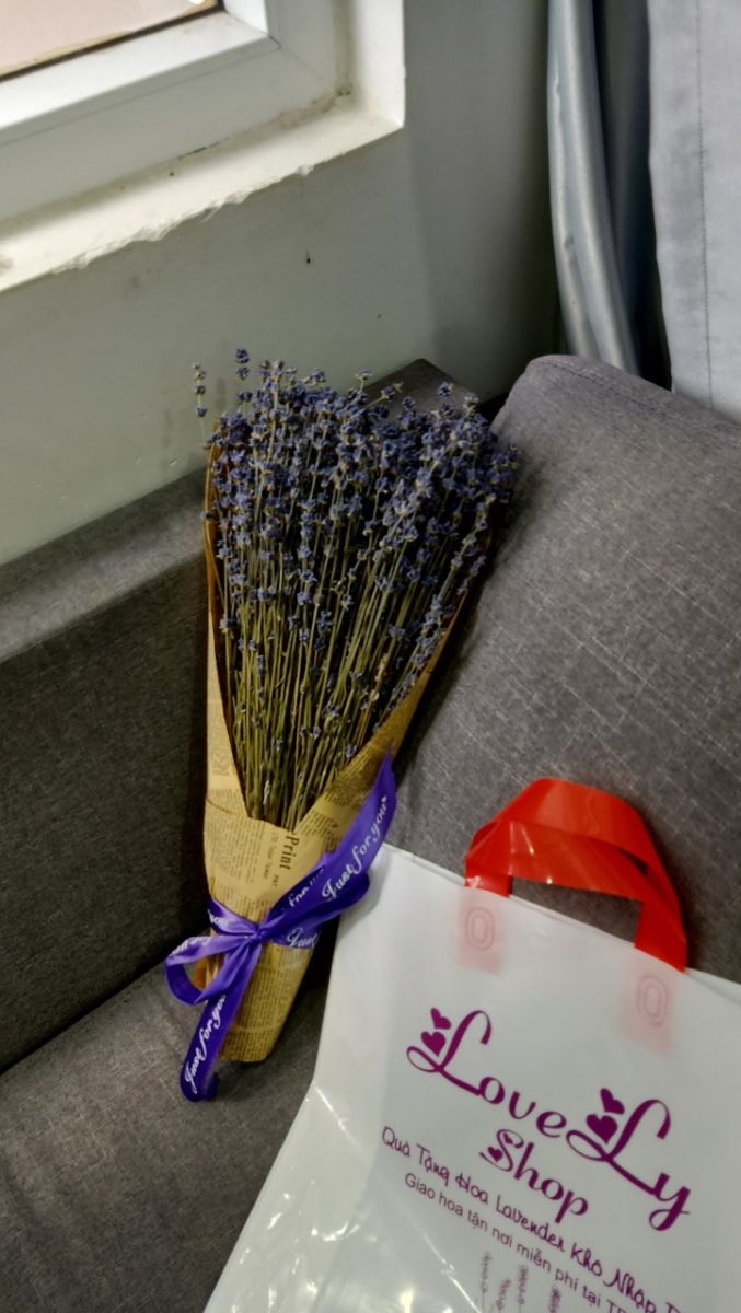 Bó Hoa Lavender Khô nhập Pháp