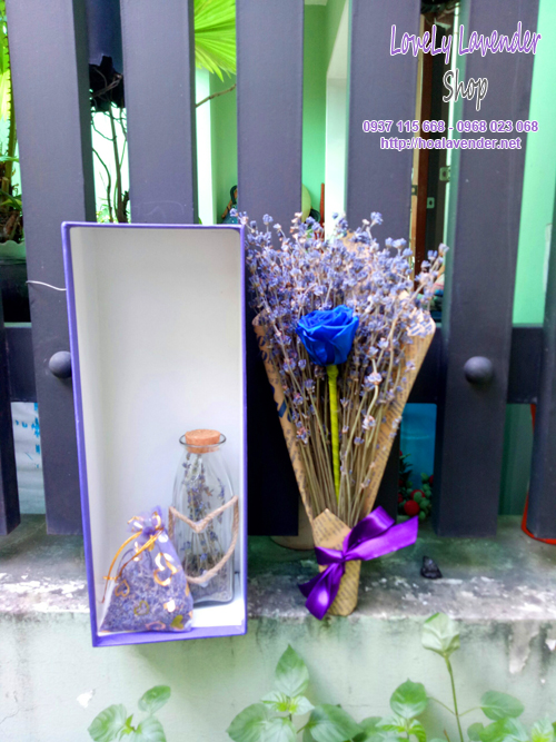 Hoa lavender quà tặng đặc biệt ngày lễ tình nhân valentine 14/2 - 5