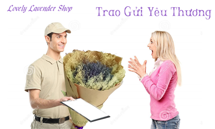 Cách đặt mua hoa lavender khô nhanh nhất có ngay trong ngày tại TPHCM