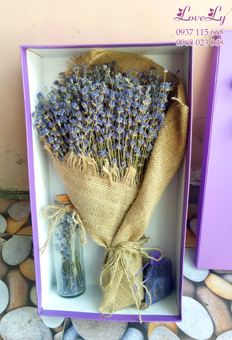 Hoa lavender quà tặng đặc biệt ngày lễ tình nhân valentine 14/2 - 11