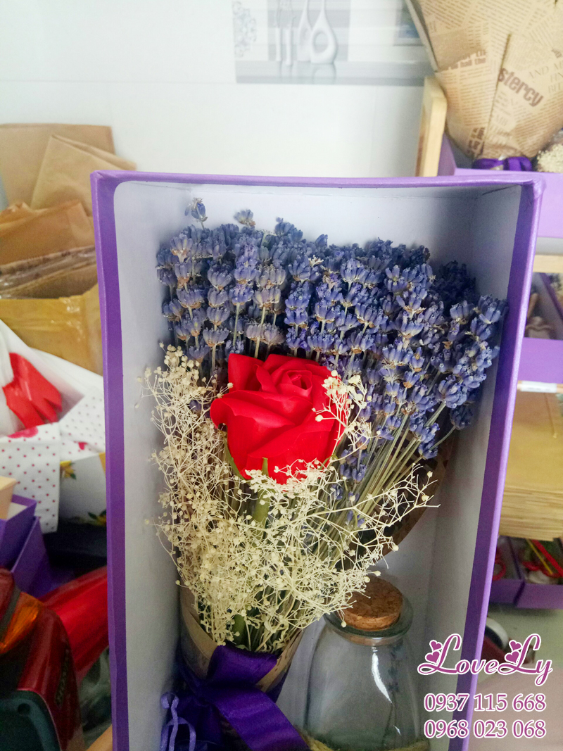 hộp hoa lavender khô combo ms09