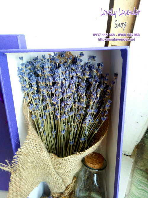 Hộp Quà Hoa Lavender Khô Combo( Ms14)