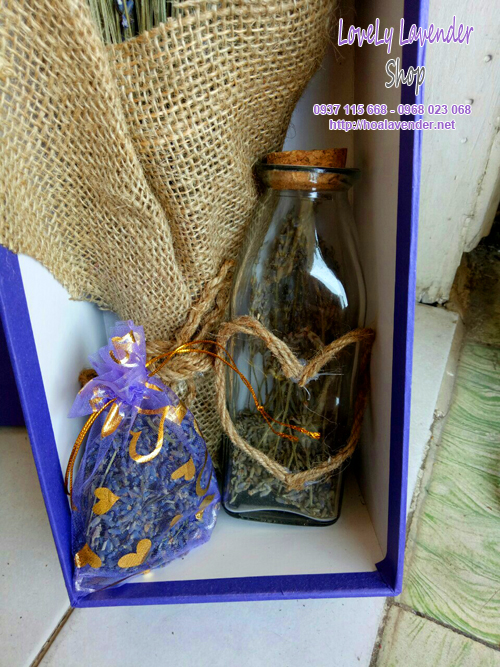 hộp hoa lavender khô combo ms14