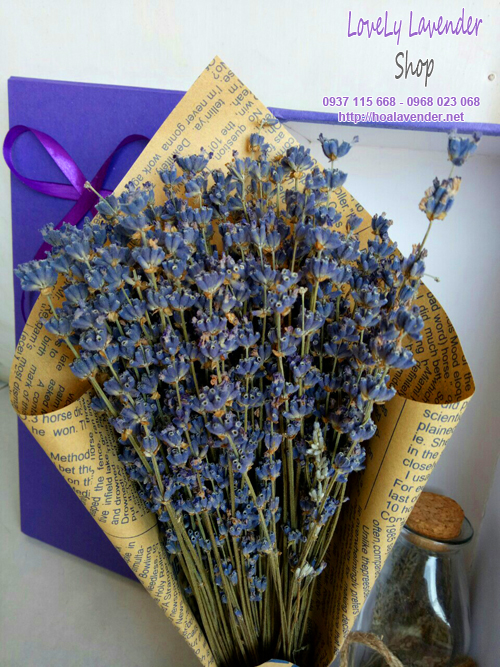 Hộp hoa lavender khô Combo( MS 06)