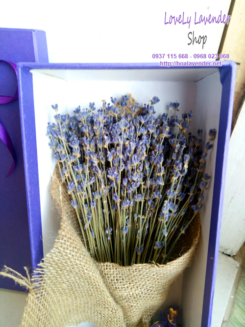 Hộp Quà Hoa Lavender Khô( Ms13)