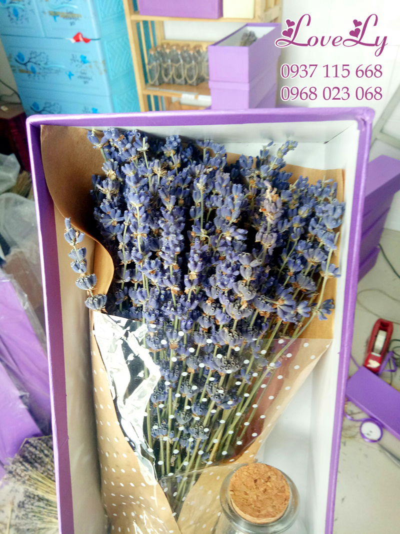 hộp hoa lavender khô
