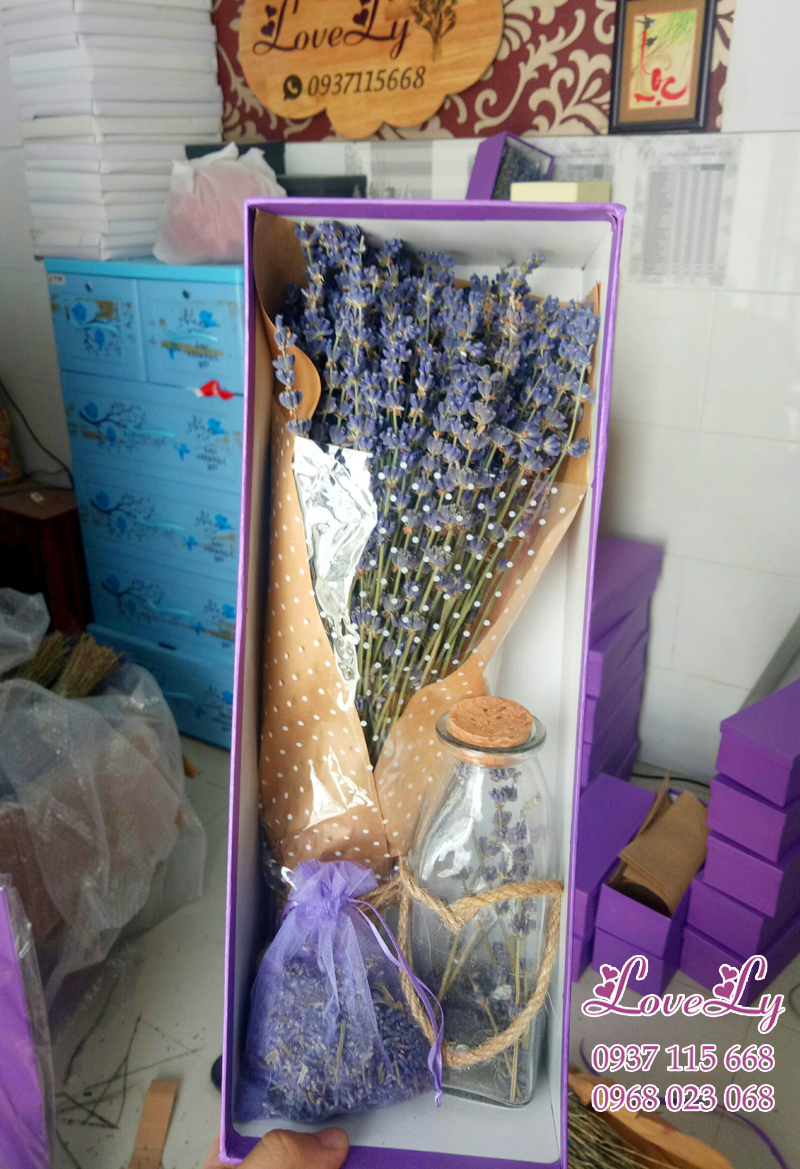 hộp hoa lavender khô ms01