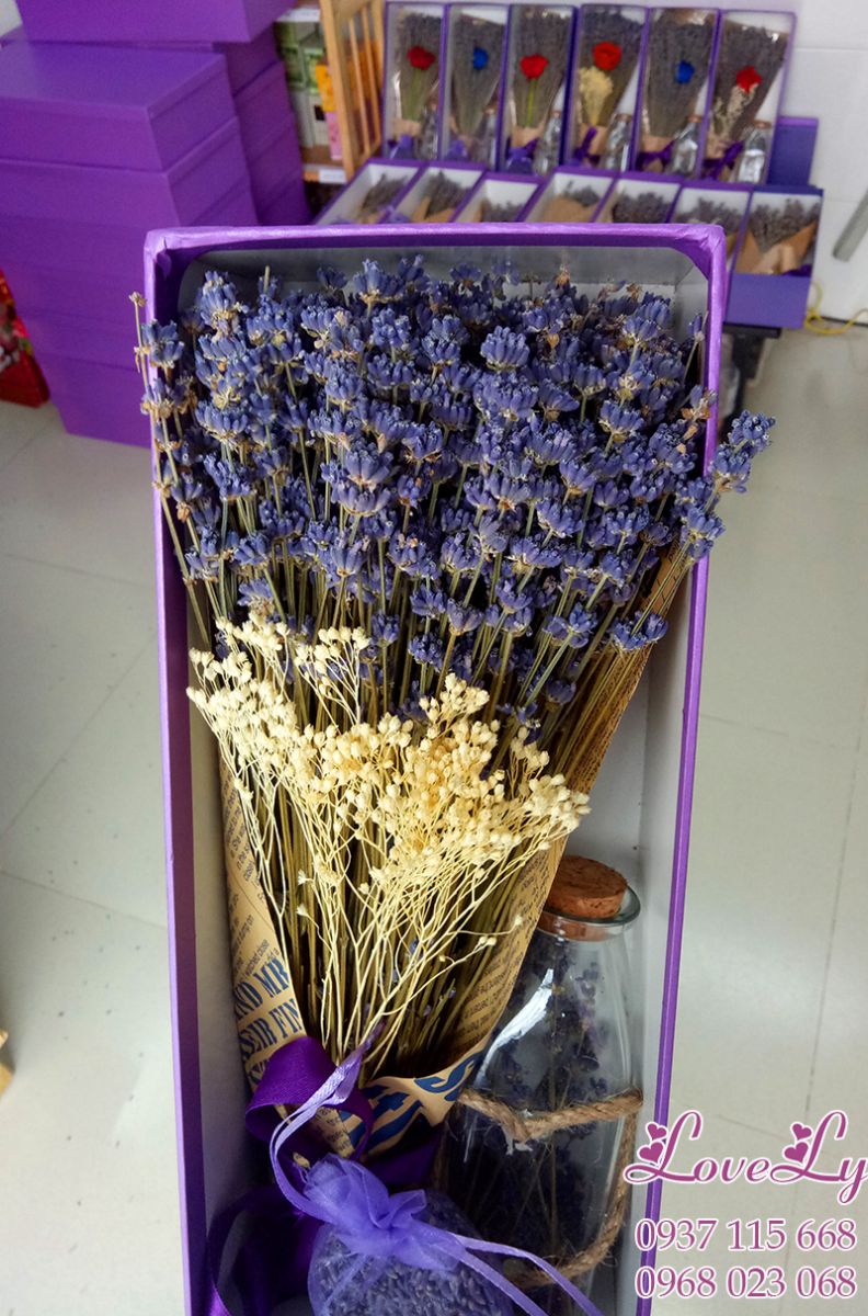 hộp hoa lavender khô combo ms15