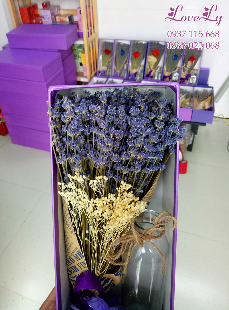 hộp hoa lavender khô combo ms16