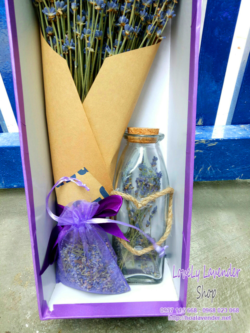 hộp hoa lavender khô combo ms03