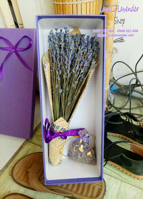 Hộp hoa lavender( MS 05)