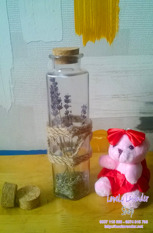 Hoa lavender trong lọ bán chạy nhất của Shop