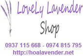 Shop hoa lavender khô tại TPHCM
