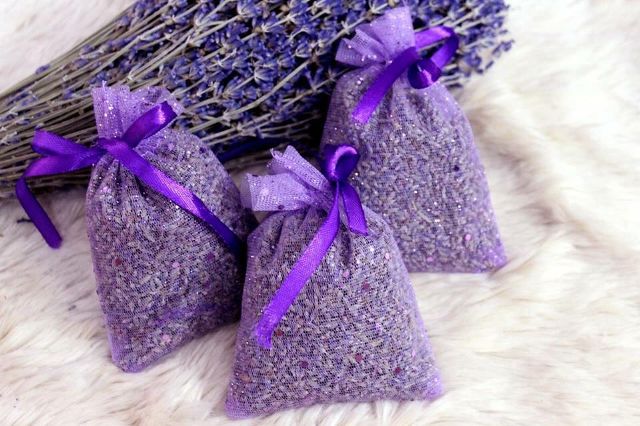 nụ hoa lavender khô nhập pháp