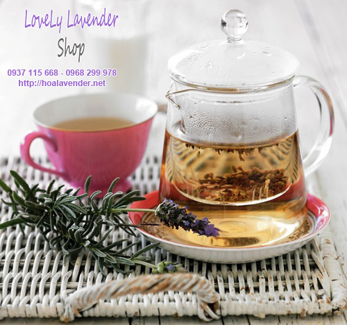 Trà hoa lavender - Công dụng và cách pha trà hoa lavender 