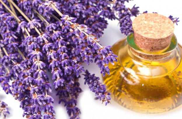 6 Cách làm đẹp với tinh dầu hoa lavender