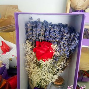 hop hoa lavende khor ms08 1