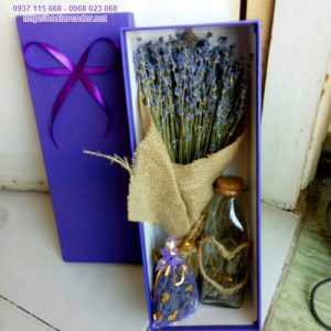 Hộp hoa lavender cổ điển