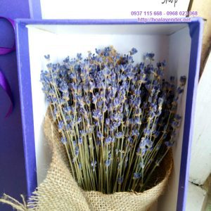 hop hoa lavender kho ms13 1 copy